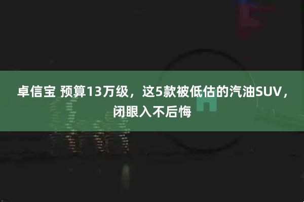 卓信宝 预算13万级，这5款被低估的汽油SUV，闭眼入不后悔